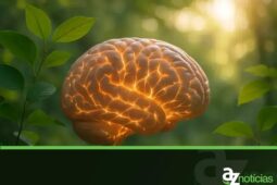 Neuroplasticidade e Bem-Estar: Como Você Pode Treinar Seu Cérebro para Ser Mais Feliz e Resiliente