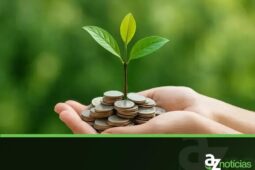 Investimento Sustentável: Conheça os Fundos que Aliam Lucro e Impacto Positivo