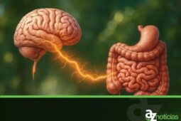 O Eixo Intestino-Cérebro: Como a Saúde Intestinal Impacta seu Bem-Estar Mental