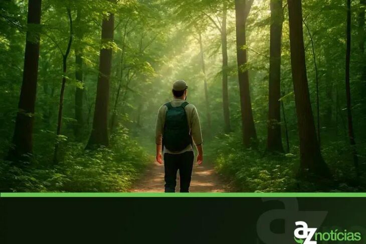 Terapia da Floresta: Os Benefícios Científicos do Shinrin-Yoku para o Bem-Estar